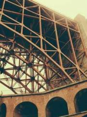 King of Nine Profoun