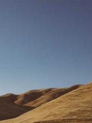 Bones-Eating Marriag