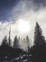 lt;Liang Yimo Cold N