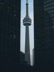 After Transmigrating