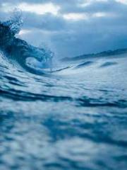 The Rebirth of a Phy