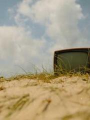 I have seven fairy g