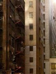 Super husband Lin Xi