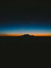 My pets are all amaz