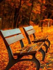 I Picked Up a Cultiv