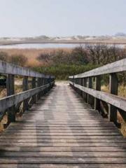 Bones-Eating Marriag