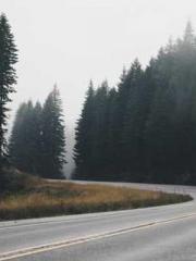 The Taoist nun was f