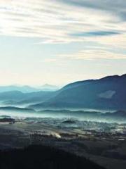 Becoming a solitary 