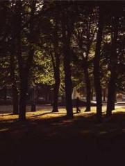 The Undefeated Son-i