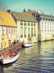 Two Treasures Arrive