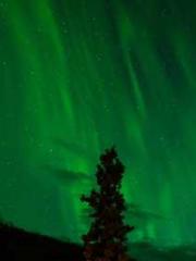 Wine, sex, money and