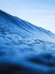 I have seven fairy g