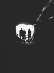 Two Treasures Arrive