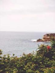 I have seven fairy g