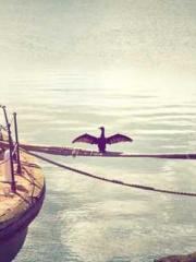 My Sweet Wife: The C